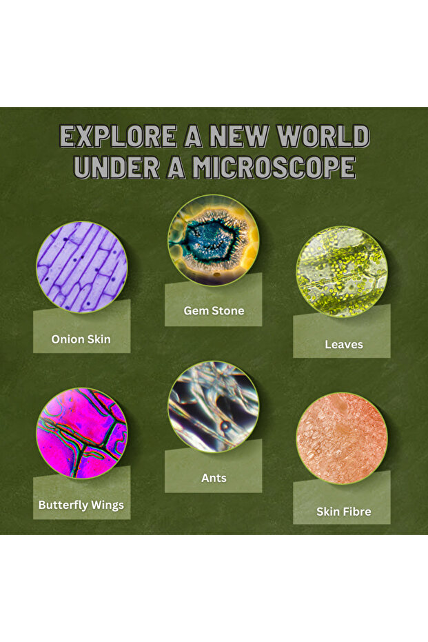 مجموعة المجهر الأولى الخاصة بي - 3