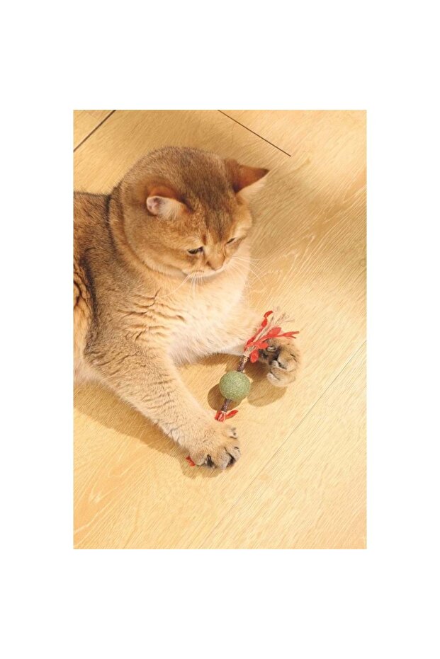 Charmy Brancy Red Cat Toy with Catnip - 5