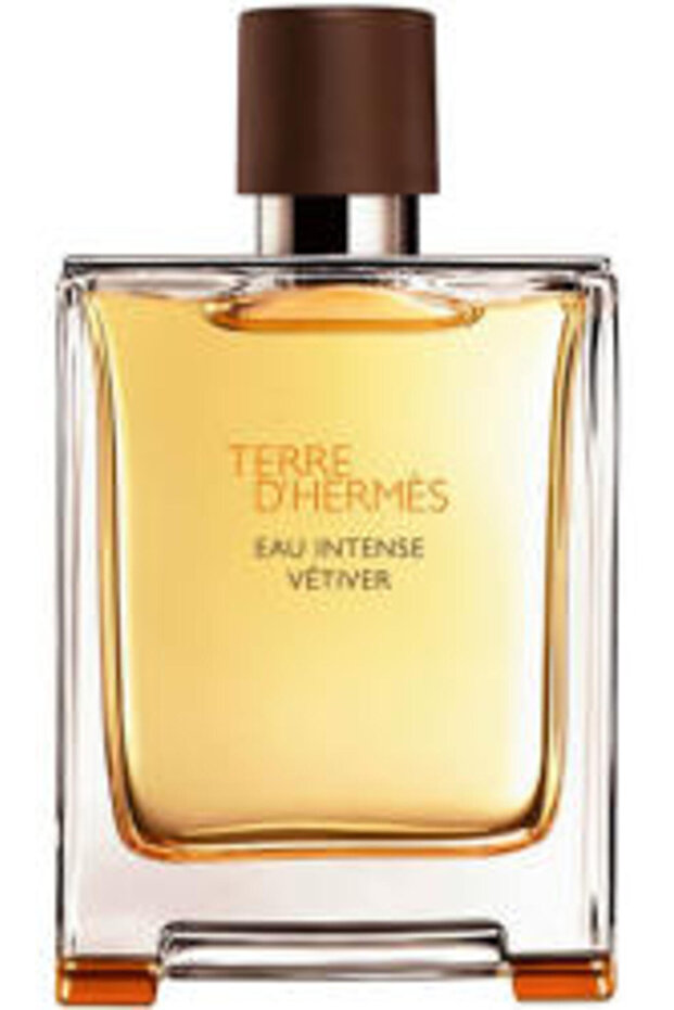 Hermès Terre D'Hermes Eau Intense Vetiver EDP 100 ml - 1