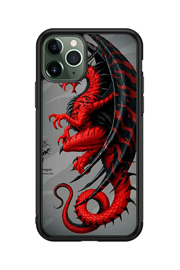 كفر ايفون 11 برو متعدد الألوان - 1