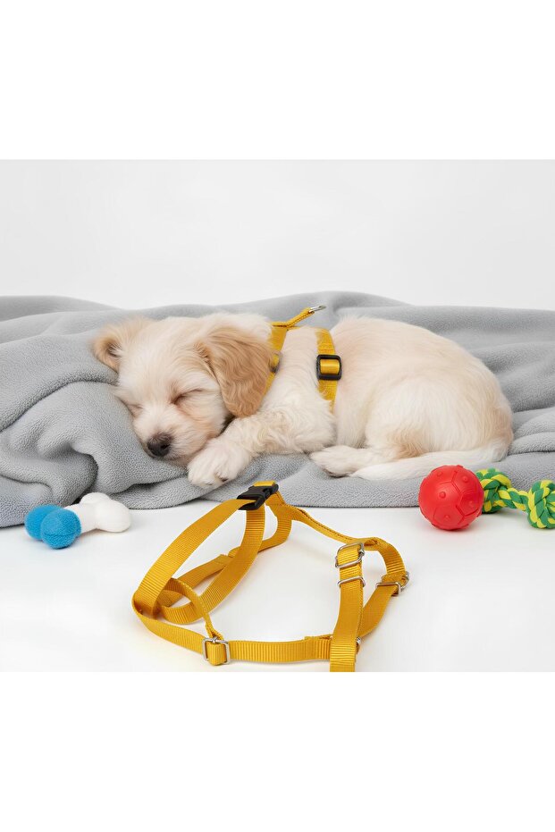 Köpek Vücut Tasması - 2