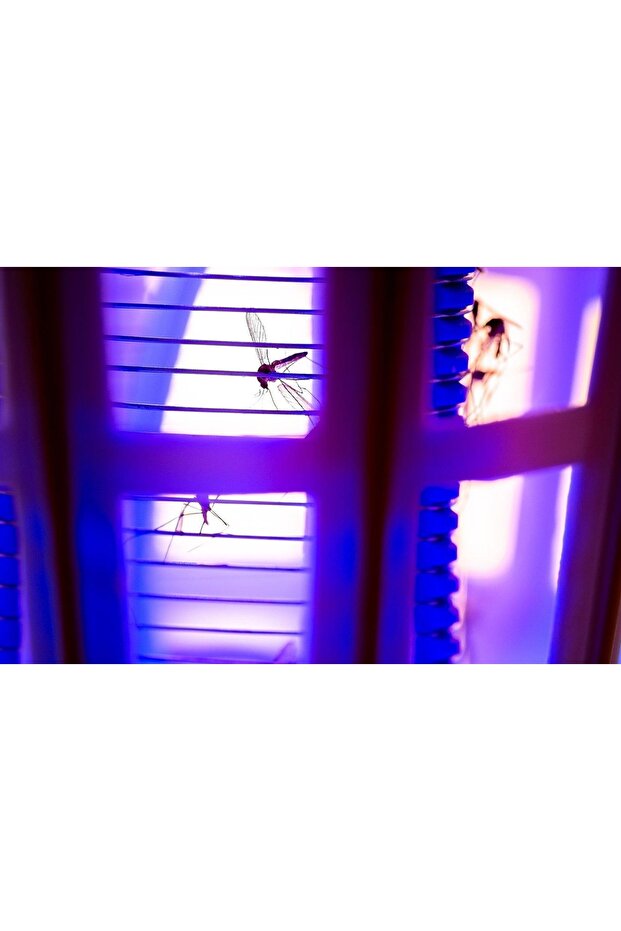 Insect Zapper with dual Function 2in1. - 5