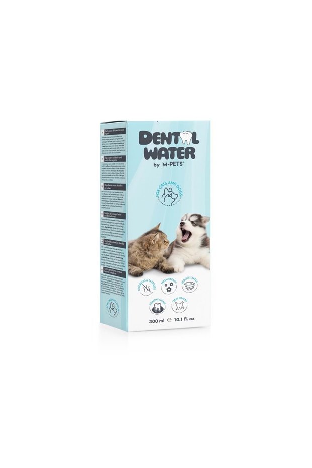 DENTAL WATER 300ML