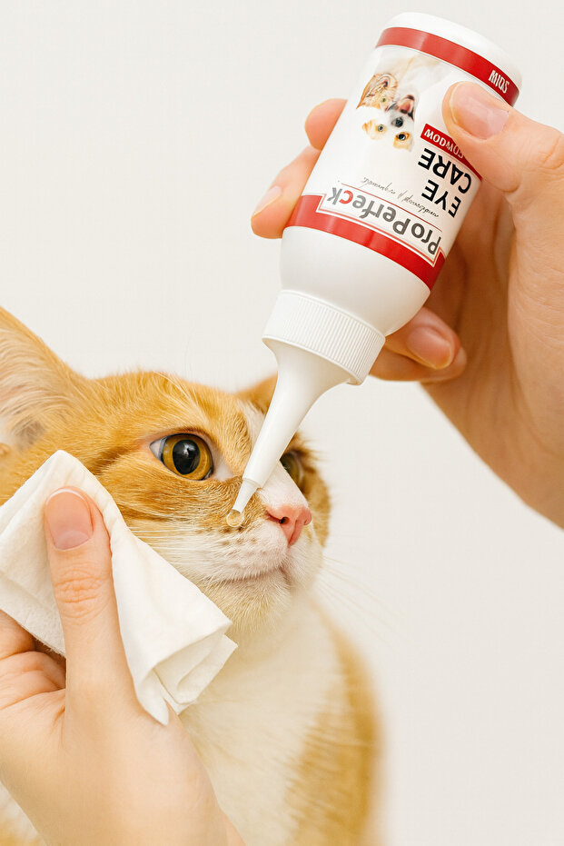 Properfeck Kedi Ve Köpek Göz Temizleme Losyonu 50 ml - 1