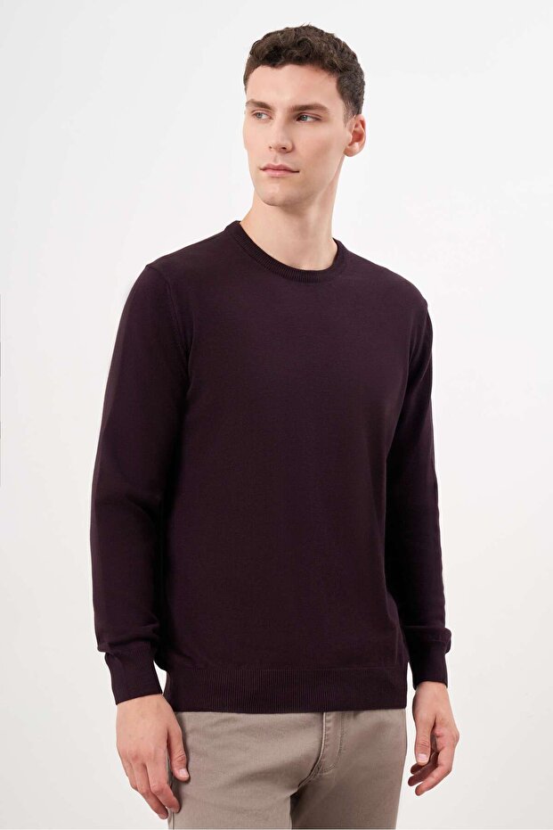 Erkek Mor Basic Bisiklet Yaka Dynamic Fit Rahat Kesim Triko - 2