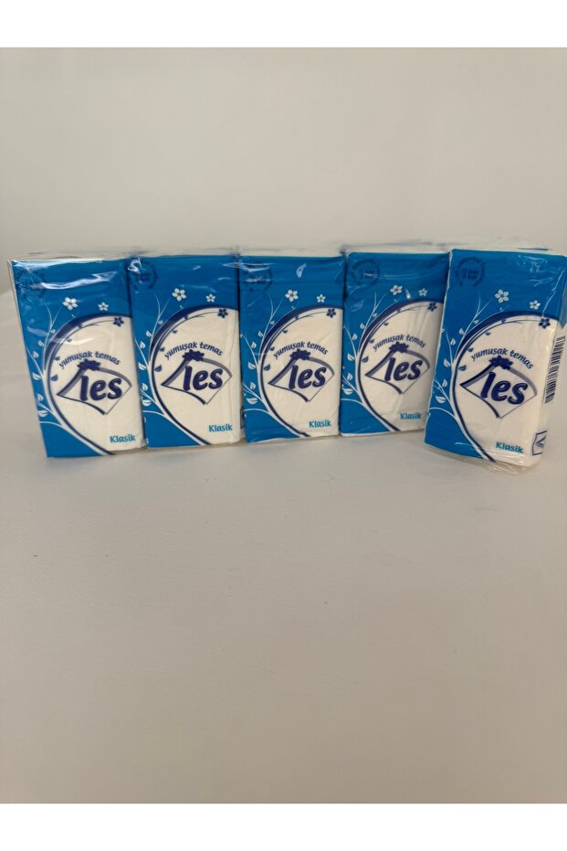 Kağıt Mendil Klasik - 10 Adet - 6