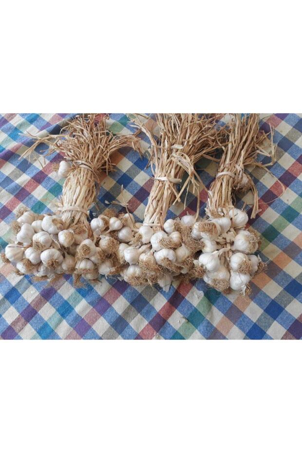 Üreticisinden Orta Boy 5 kg Ata Tohum Taşköprü Sarımsak - 4