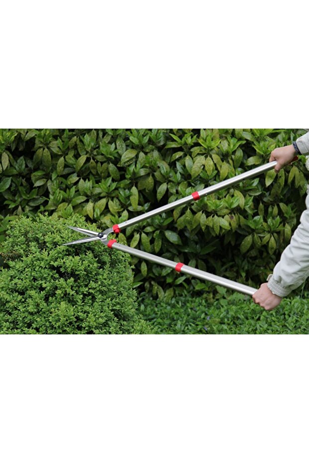 مقص سياج طويل ياباني - 5