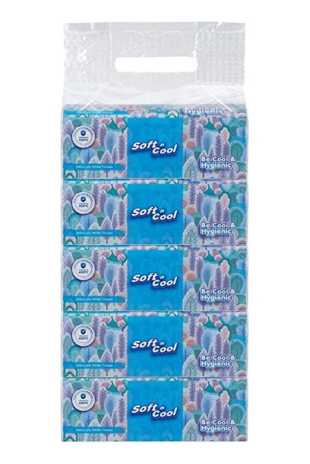 Facial Tissue Nylon Pack 200 Sheets 2Ply, 5 Boxes