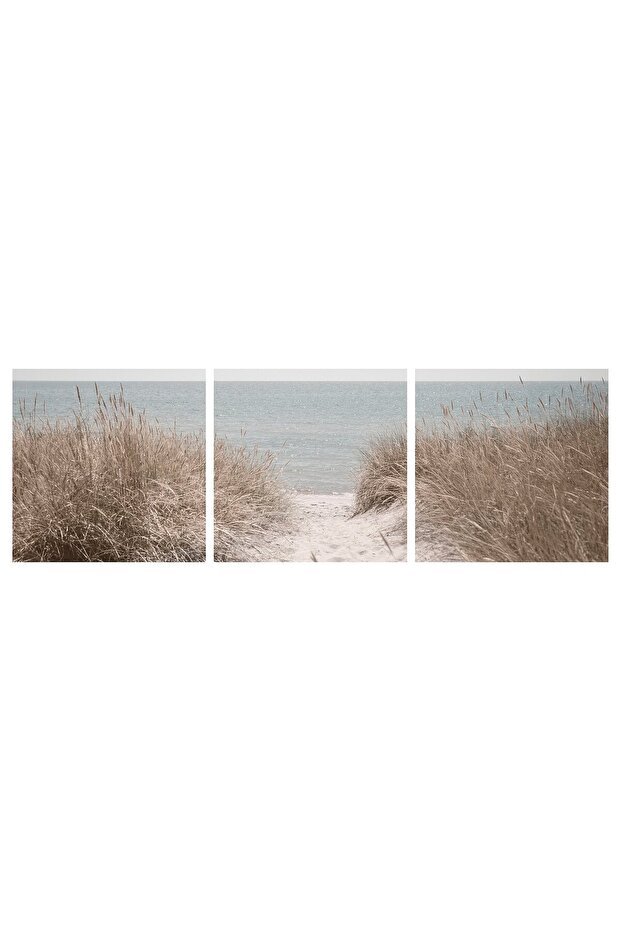 PJÄTTERYD Picture, Swedish sand dunes, 56 x 56 cm