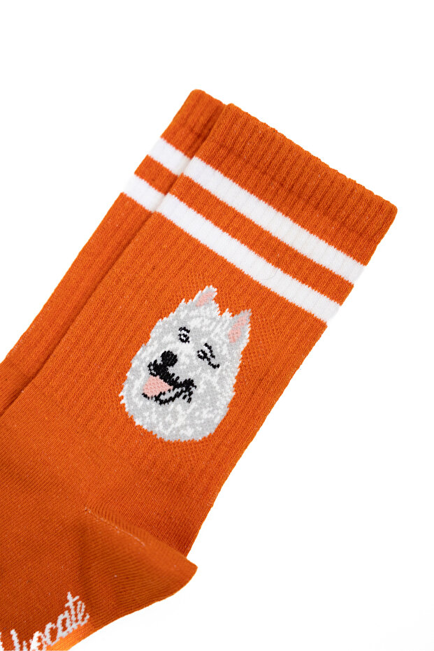 جوارب طويلة منقوشة على شكل كلب - جوارب منقوشة - جوارب طويلة برتقالية - 3