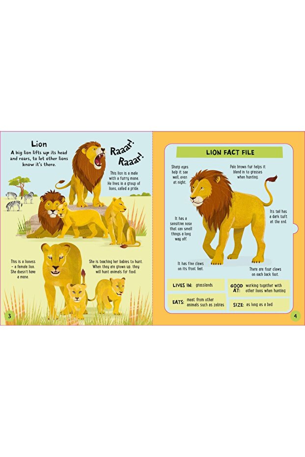 Puzzle activity book - 3