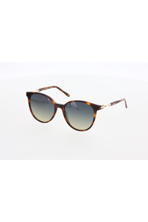 3586 C02 Sunglasses