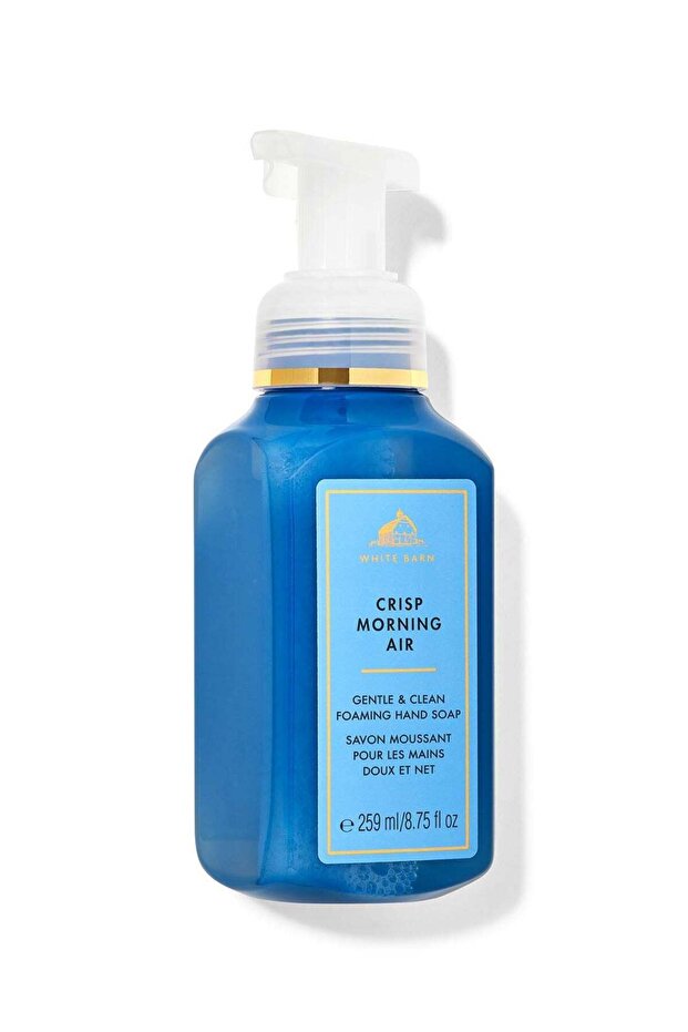 Crisp Morning Air Gentle & Clean Foaming Hand Soap