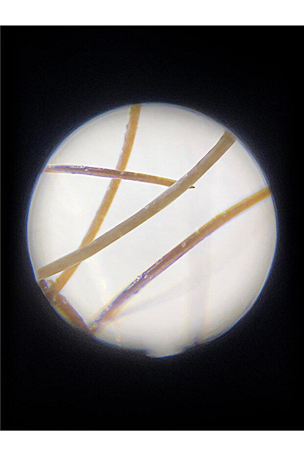 MP-250 MicroFlip® 100x-250x Led UV Cep Mikroskobu + 24 Adet Slayt Set - 7