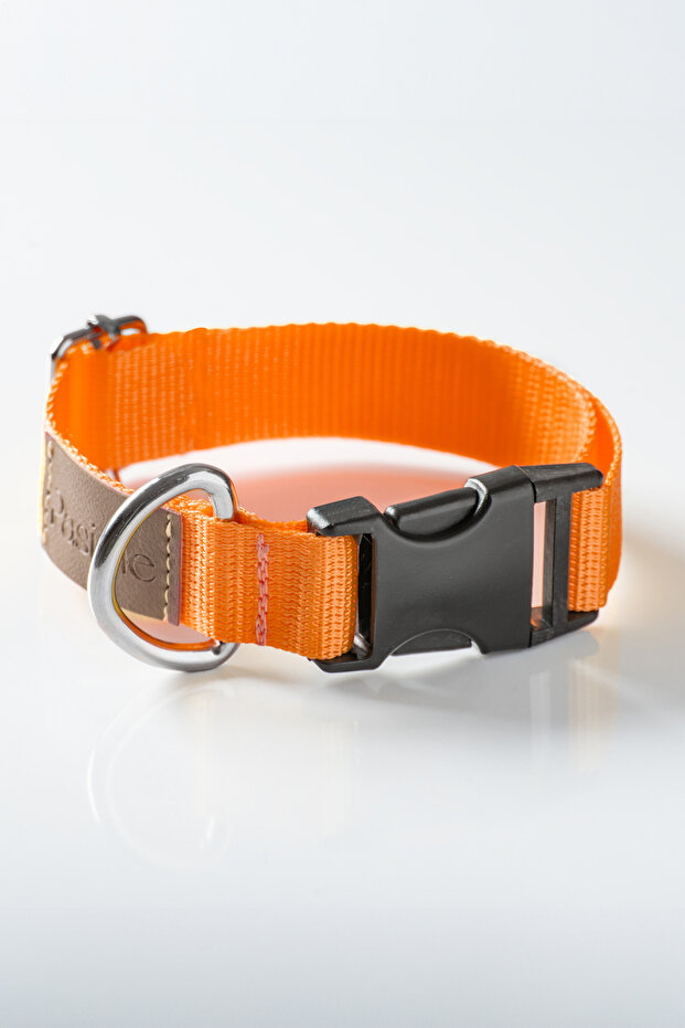 Köpek Boyun Tasması, Köpek Tasması , Ayarlanabilir, Sağlam Köpek Tasması - 6