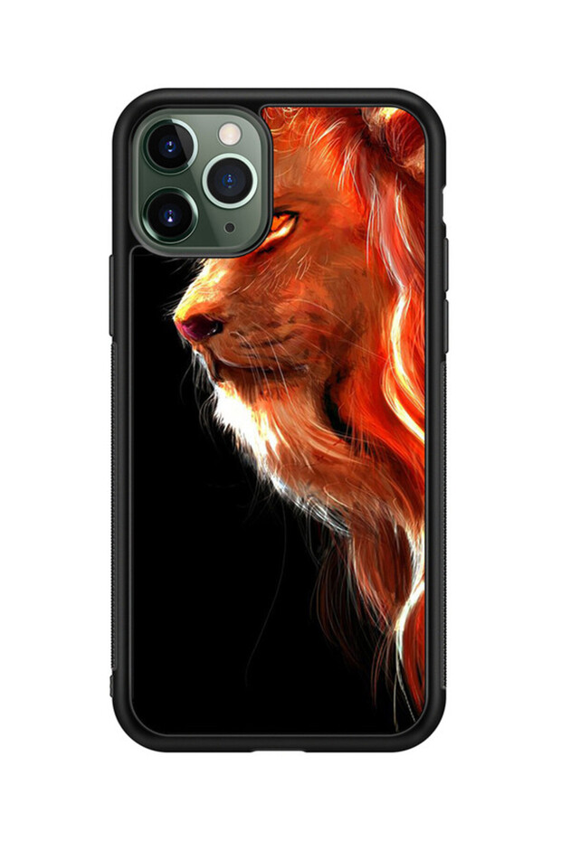 كفر ايفون 11 برو متعدد الألوان - 1