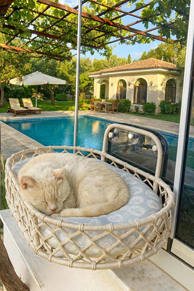 Kedi &Köpek Yatağı Hamak Vantuzlu - 1