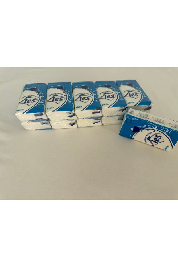 Kağıt Mendil Klasik - 10 Adet - 4