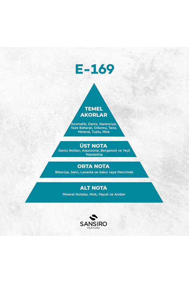 E-169 Erkek Parfüm 50ml Edp - 4