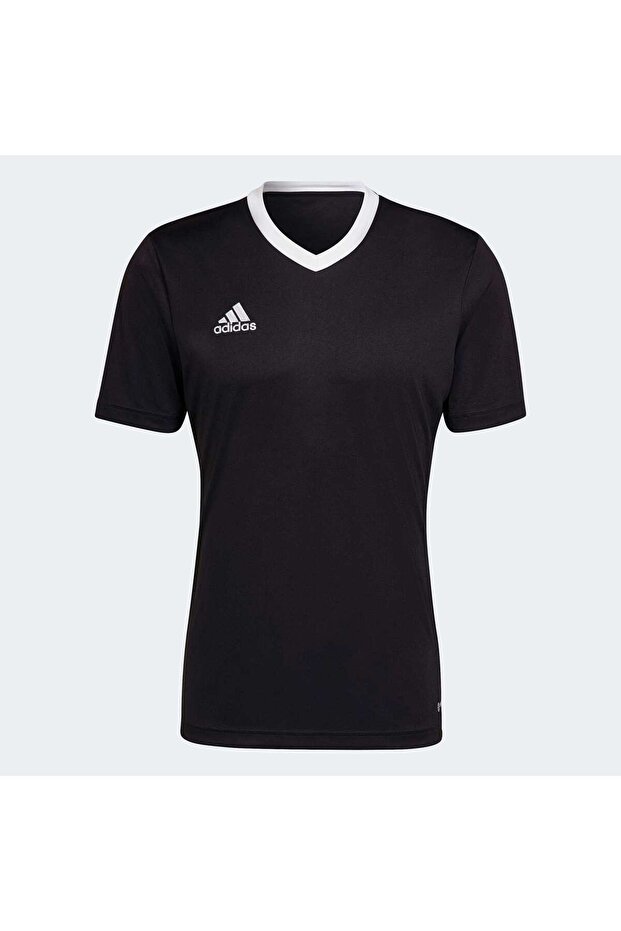 Entrada 22 Forma - 4