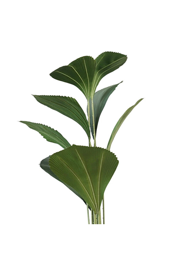 شجرة نخيل 165 سم - 2