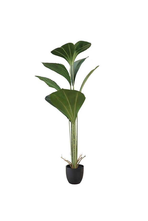 شجرة نخيل 165 سم - 3