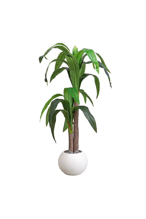 Brazilian Tree – 140cm - 2