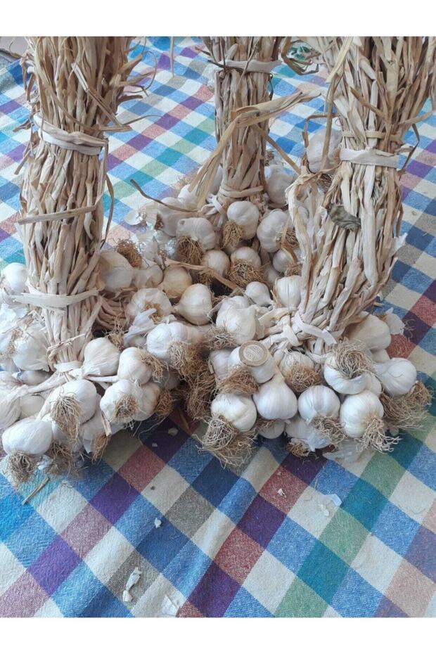 Üreticisinden Orta Boy 5 kg Ata Tohum Taşköprü Sarımsak - 2