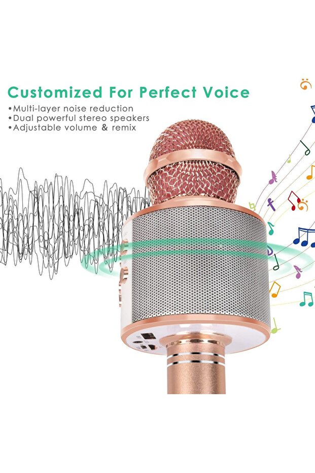 Portable 5-in-1 Wireless Bluetooth Microphone for Karaoke with Speaker and Recorder, Adjustable FM R - 3