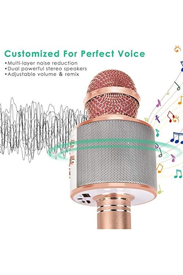 Portable 5-in-1 Wireless Bluetooth Microphone for Karaoke with Speaker and Recorder, Adjustable FM R - 4