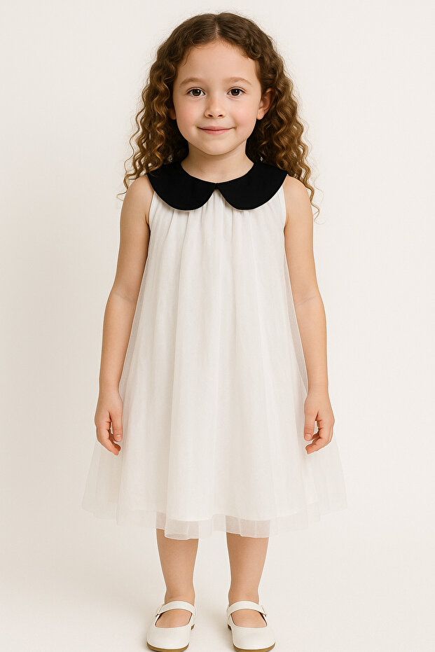 Classic Charm Peter Pan Collar Dress