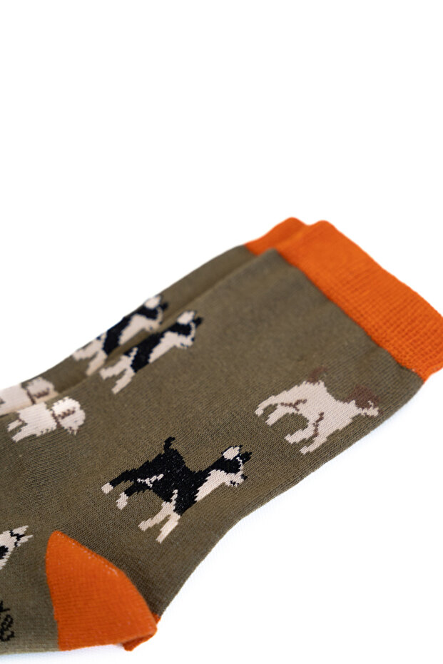 جوارب طويلة منقوشة على شكل كلب - جوارب منقوشة - جوارب طويلة خضراء كاكي - 3