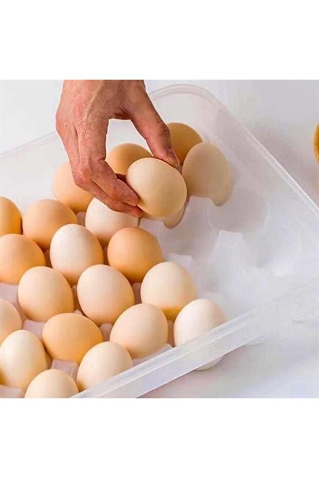 حاوية تخزين البيض 30 قطعة - 5