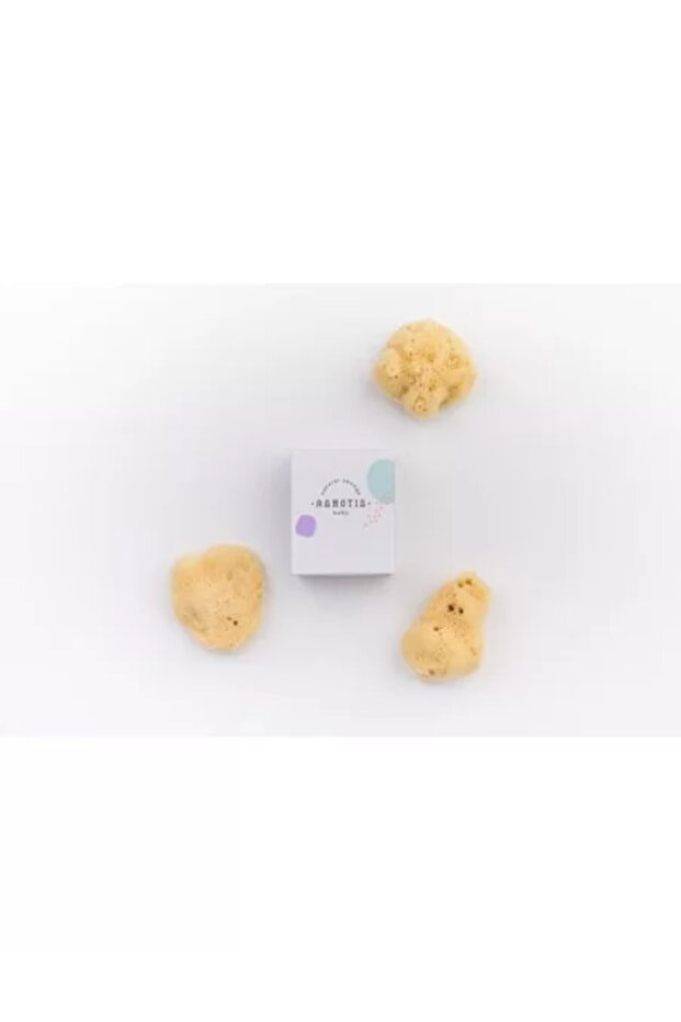 Sponge for Babies - 4