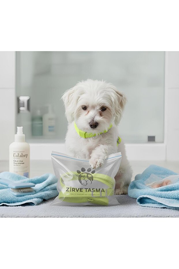 Köpek Vücut Tasması - 2