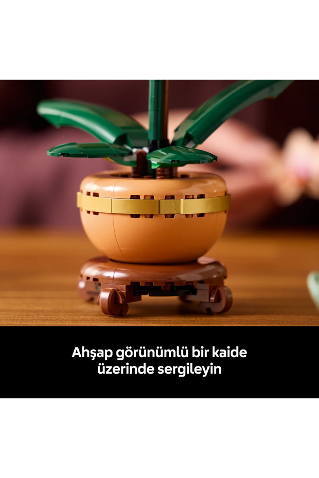 ® Botanicals Mini Orkide 10343 - Yetişkinler için Dekoratif Çiçek Yapım Seti (274 P) - 9
