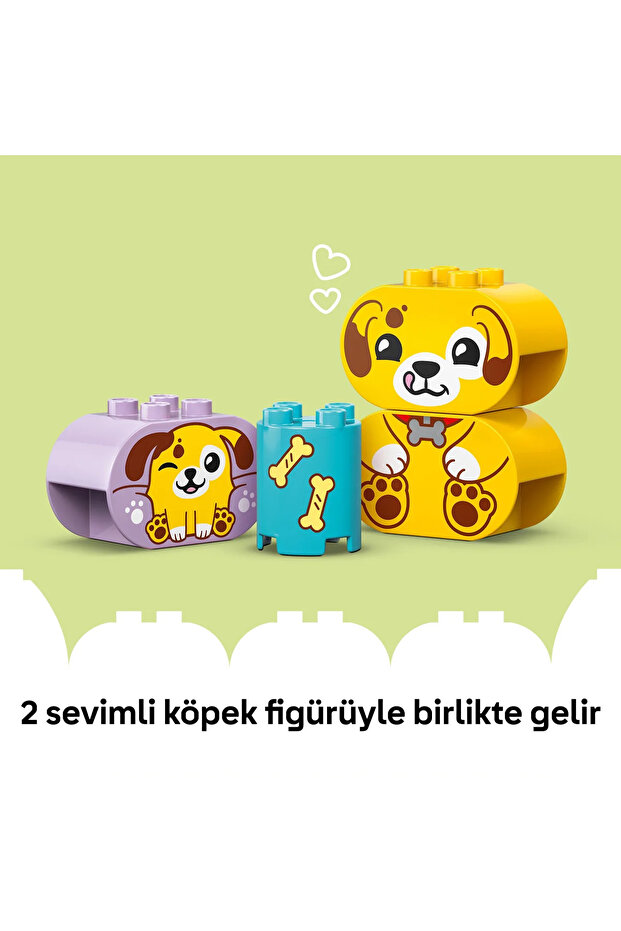 ® DUPLO® İlk Şekil Ayırıcı: Köpek Evi 10441 - 1½+ Çocuklar için Eğitici Oyuncak Yapım Seti (17P) - 10