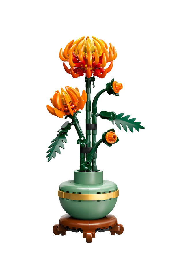 ® Botanicals Krizantem 10368 – Yetişkinler için Dekoratif Çiçek Modeli Yapım Seti (278 Parça) - 3