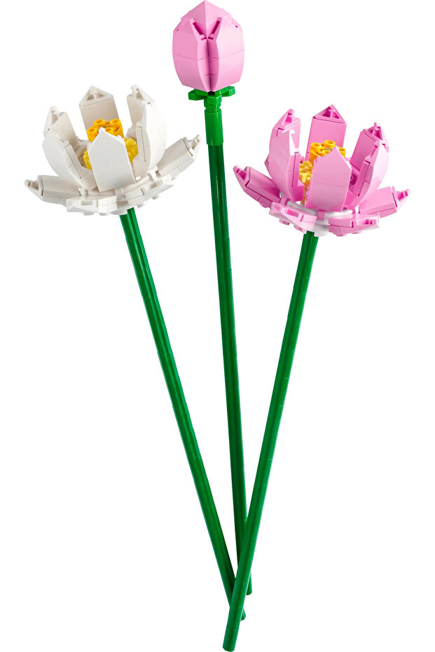 ® Botanicals Lotus Çiçekleri 40647 - 8+ Çiçek Model Yapım Seti (220Pr) - 2