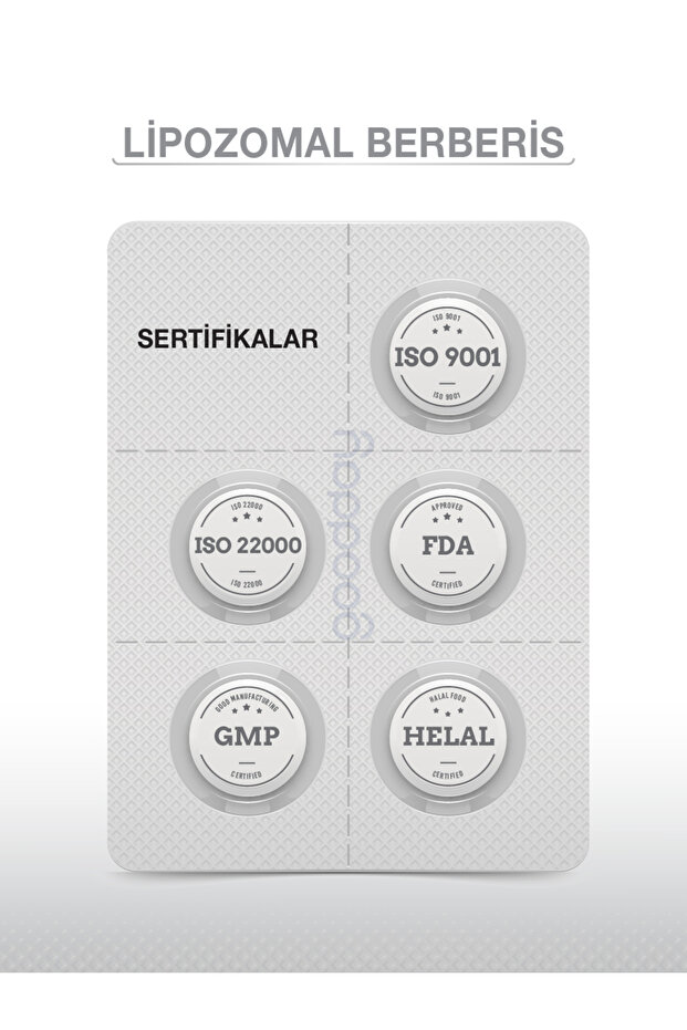 LİPOZOMAL BERBERİS 60 TABLET - 6