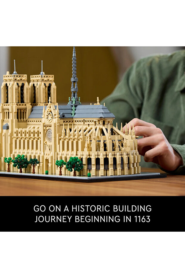 ® مجموعة الهندسة المعمارية نوتردام دو باريس 21061 - 6