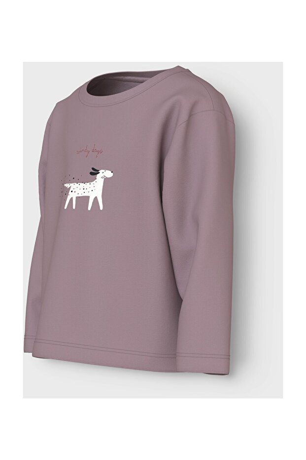 NMFVEEN LS NREG TOP - 2