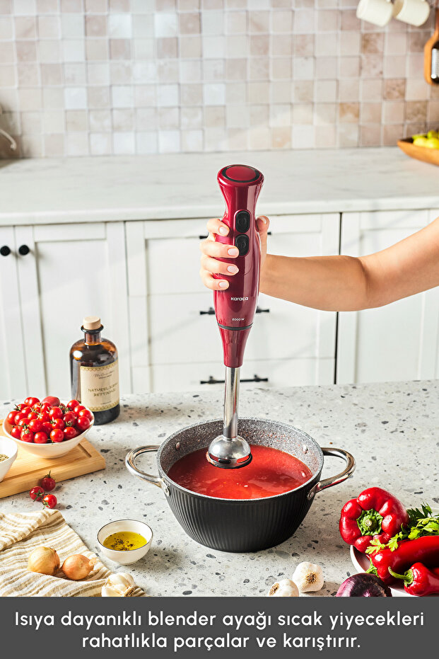 Pro Multimax 6 in 1 Çok Amaçlı Mutfak Robotu/Blender Seti Red 2000 W - 13