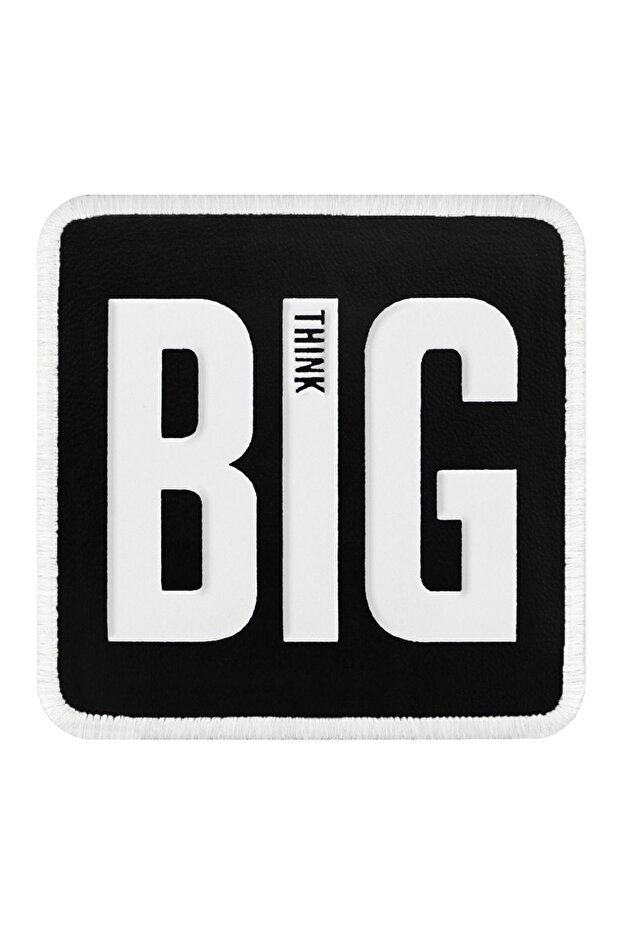 Big Think Logolu - 1