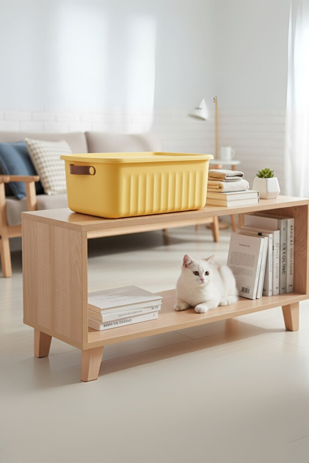 10 Liter Multi-Purpose Storage and Organizing Box with Lid - 1