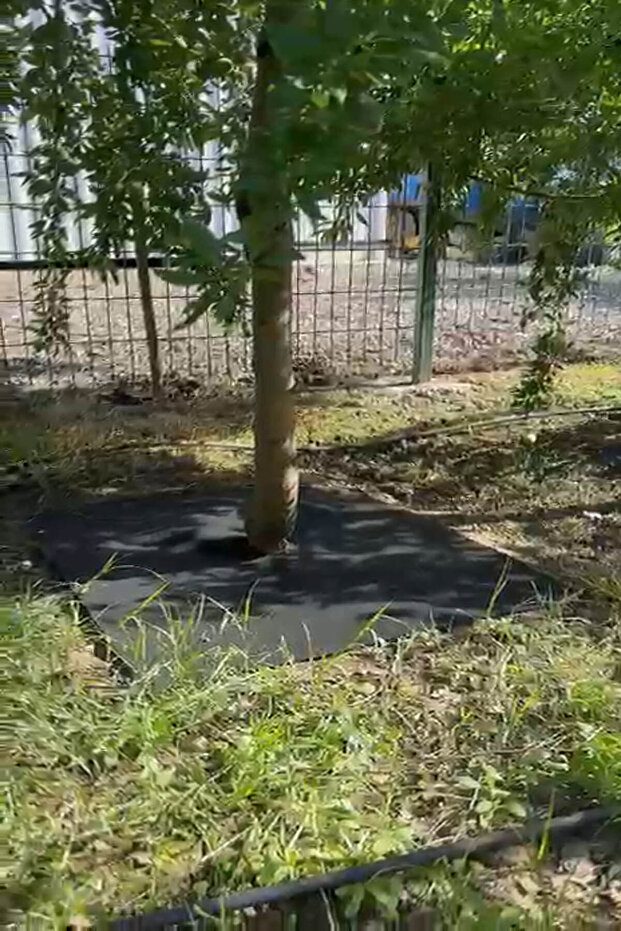 BİTKİ PASPASI (80*80 cm) 10'LU - 4