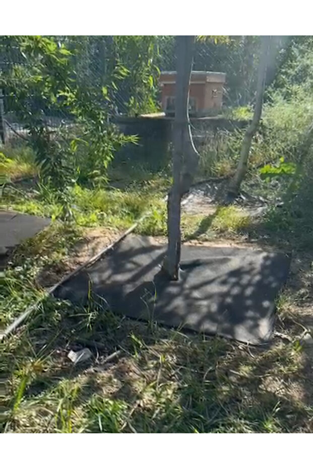 BİTKİ PASPASI (80*80 cm) 10'LU - 1