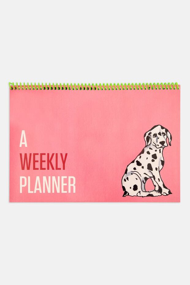 Contrasting Set Weekly Planners: Pink