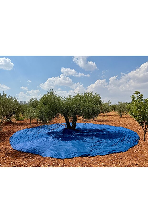 Zeytin Toplama Filesi - 4